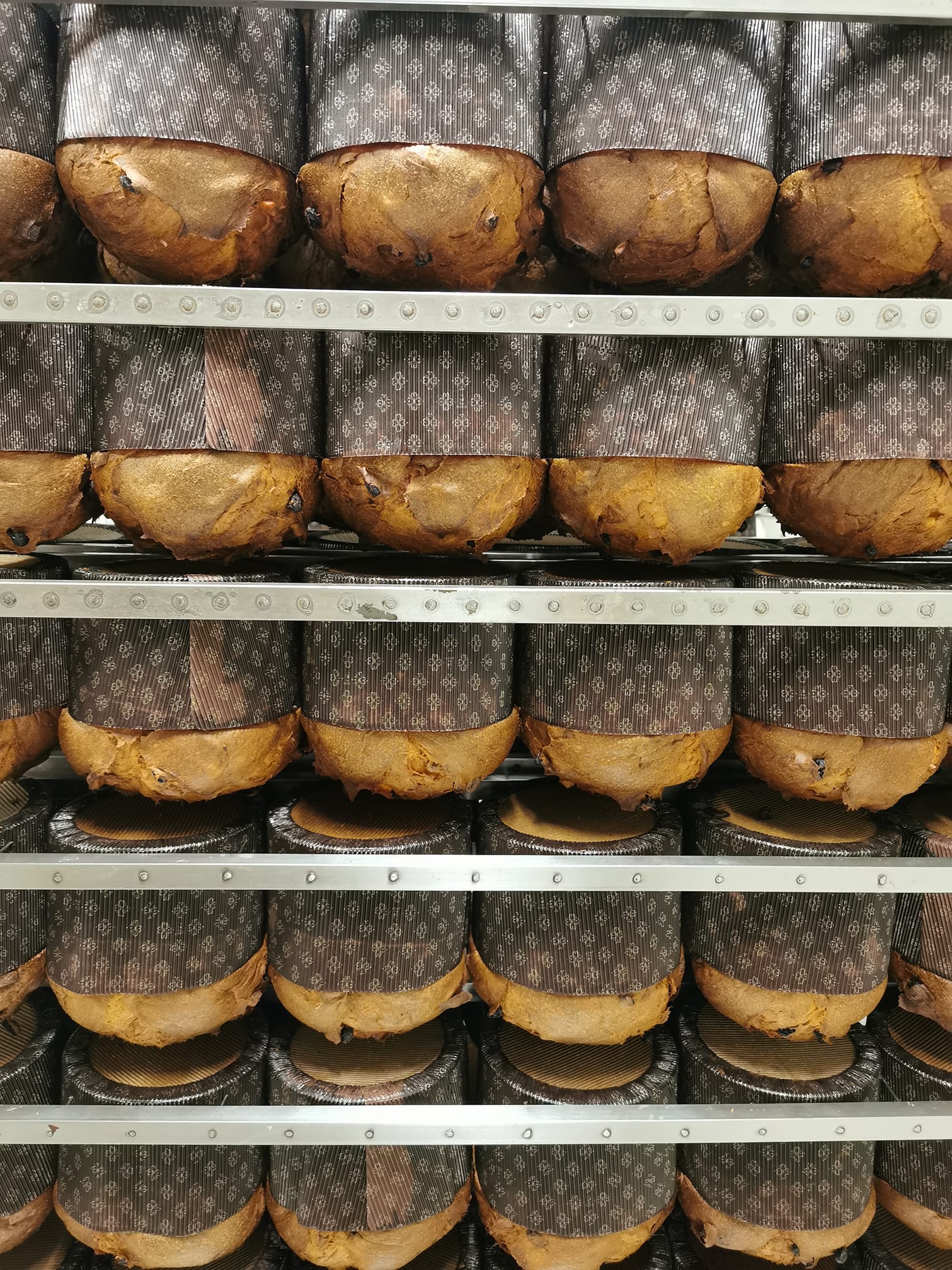 Panettoni appena sfornati